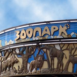 Зоопарки Новгорода